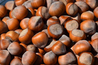 producția de arbuști pomi ornamentali fructiferi în Polonia